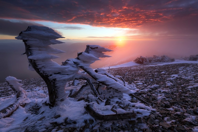 cold, ice, winter, nature, sunlight, France, sky, frost, clouds