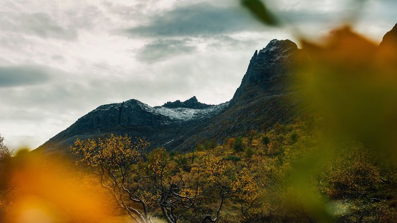 mountain, grass, blur, autumn, 4k