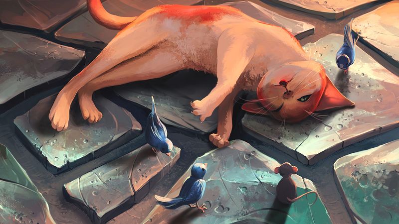 cat, mouse, bird, funny, rest, 4k