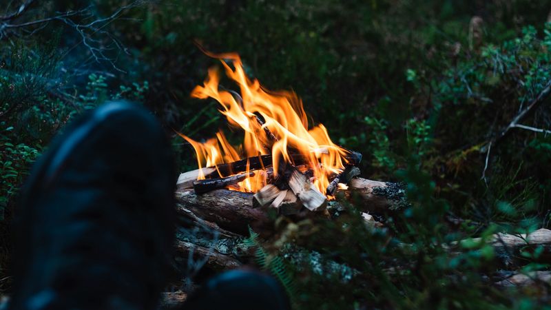 bonfire, fire, legs, camping, rest, grass, 4k