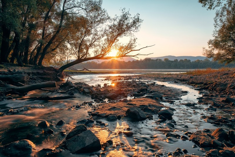 fall, water, outdoors, nature, river, morning
