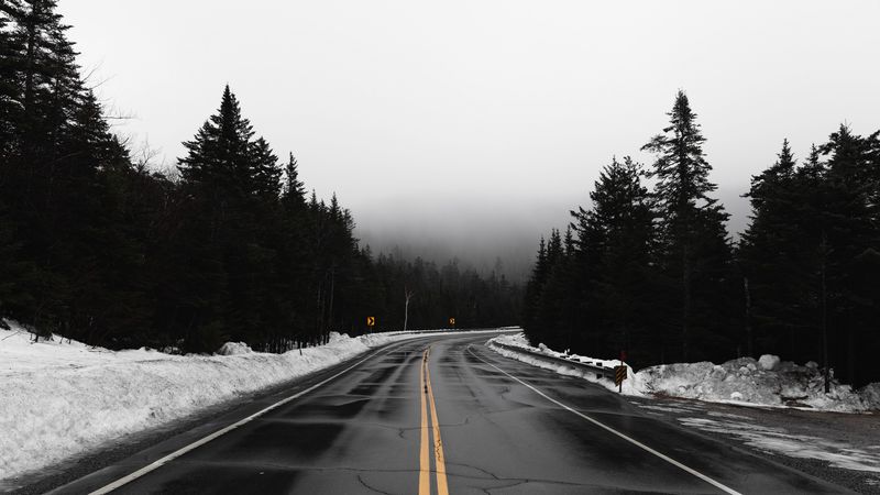 road, fog, turn, snow, overcast, 4k