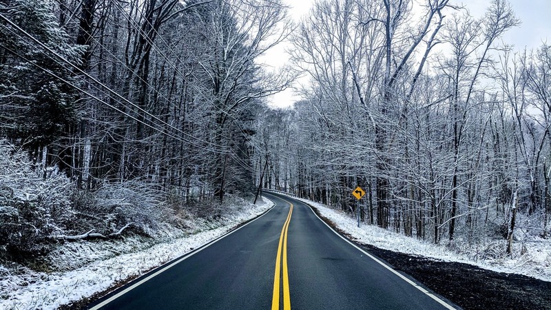 nature, landscape, forest, snow, road, winter, trees