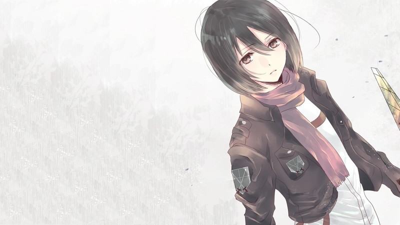 Shingeki no Kyojin, Mikasa Ackerman, anime girls, white background, simple background, dark hair, anime