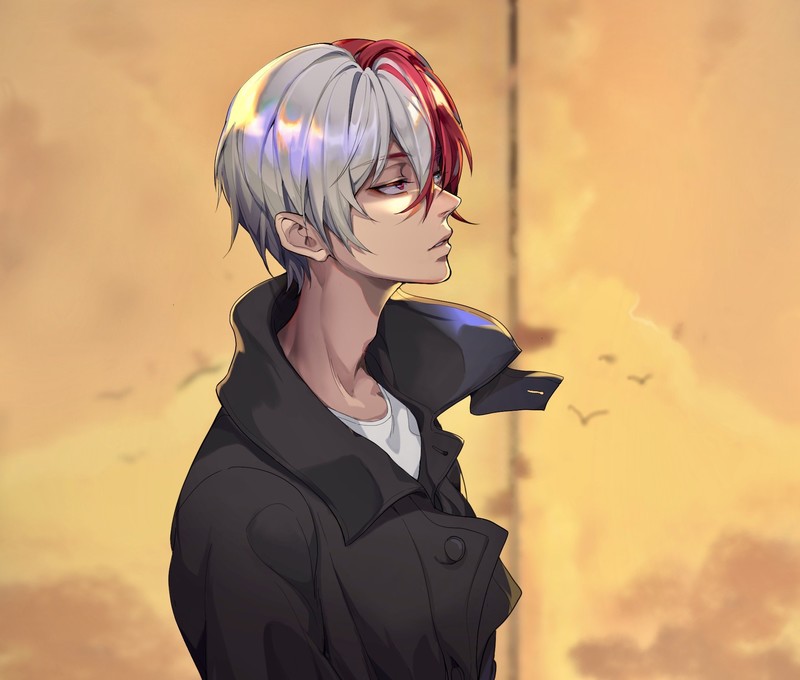 anime, 2D, anime boys, Boku no Hero Academia, Todoroki, Todoroki Shōto, Shouto Todoroki, Shoto Todoroki