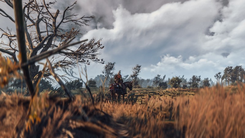 The Witcher 3: Wild Hunt, PC gaming, video games, screen shot