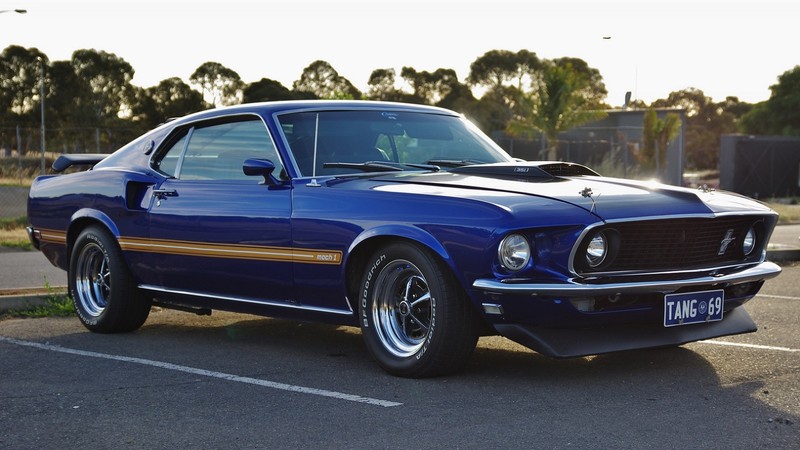 Ford Mustang, American cars, Ford, blue cars, car park, trees, asphalt, outdoors, car, vehicle, photography, Ford Mustang Mach 1