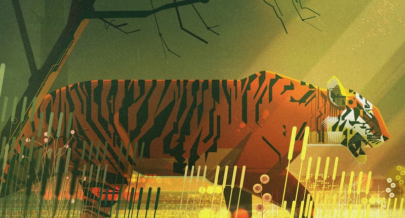 artwork, illustration, animals, big cats, mammals, tiger