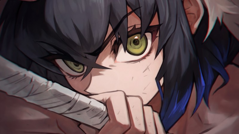 Kimetsu no Yaiba, anime, Inosuke Hashibira