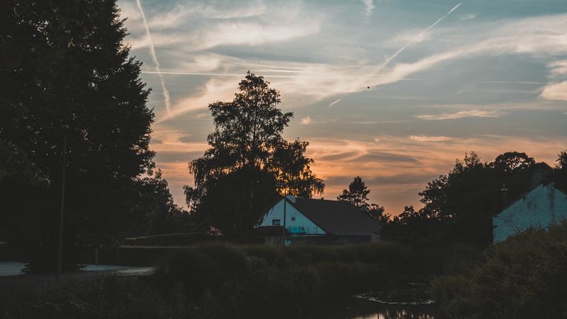 house, water, sunset, trees, branches, sky, 4k