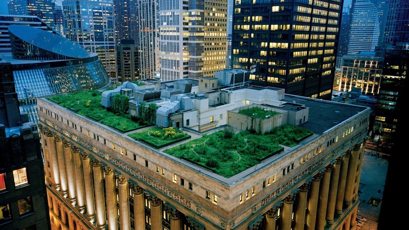 rooftops, garden, skyscraper, cityscape