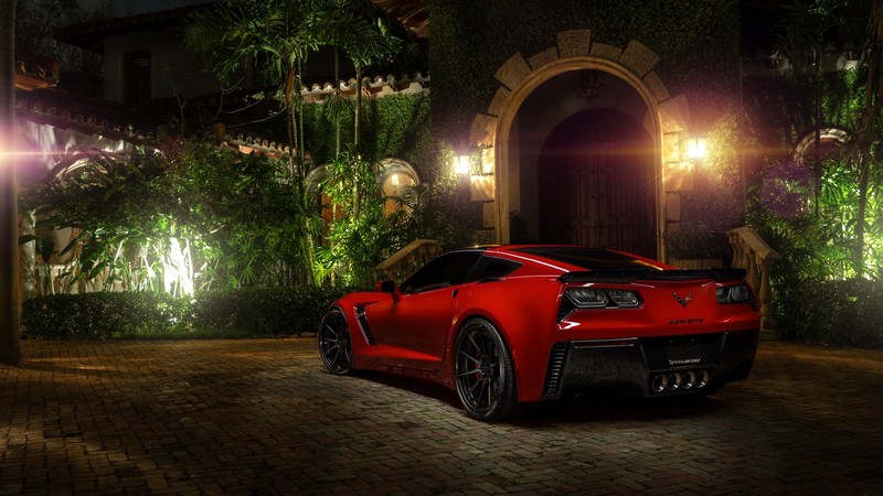Chevrolet Corvette, car, red, plants, door