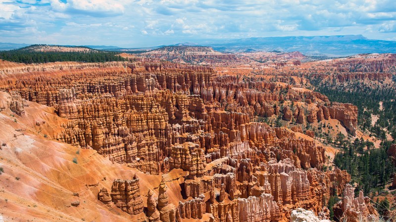 rocks, nature, landscape, trees, USA, Bryce Canyon National Park