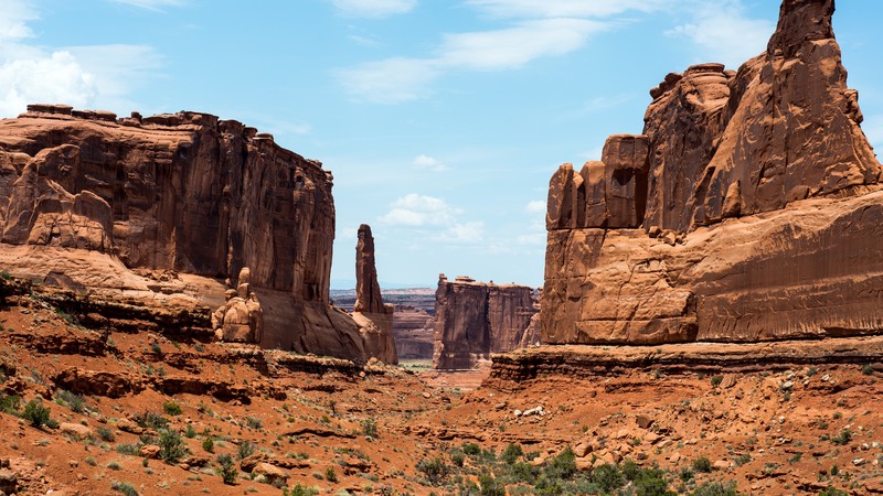 rocks, plants, nature, landscape, USA, rock, desert