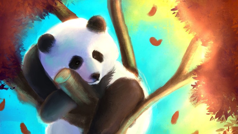 animals, nature, panda, drawing