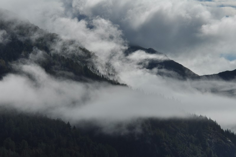 mountains, mist, clouds, pine trees