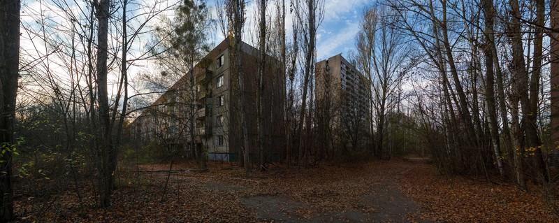 Pripyat, Chernobyl, landscape, block of flats, fallen leaves, trees, Ukraine