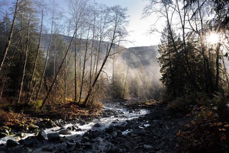 river, water, trees, nature, fall