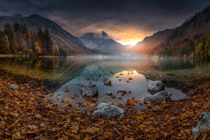 fall, sunlight, leaves, nature, mountains, outdoors