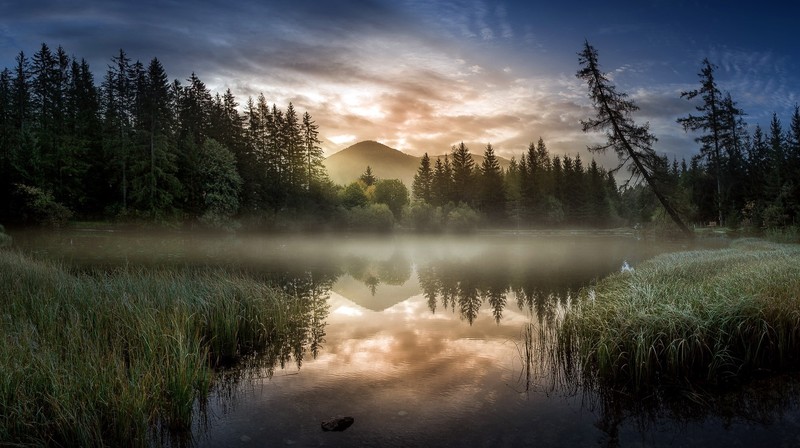 nature, outdoors, sunlight, morning