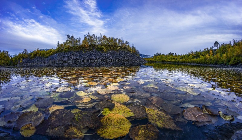water, nature, outdoors, fall, leaves