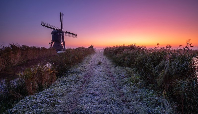 field, outdoors, winter, Netherlands, windmill
