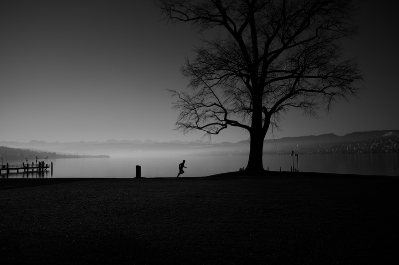 Switzerland, silhouette, Zurich, training, Seefeld, monochrome, nature, Chinawiese, running