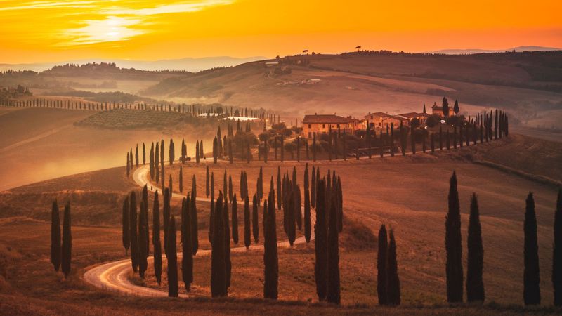 sunset, trees, road, grass, horizon, 4k