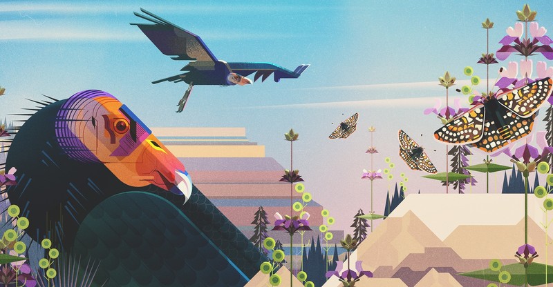 nature, animals, birds, digital art, artwork, illustration