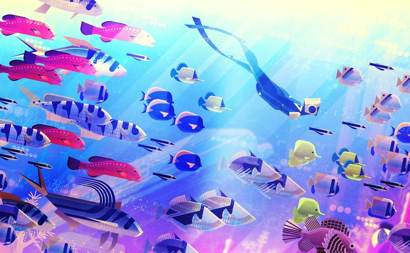 animals, artwork, illustration, sea, nature, digital art