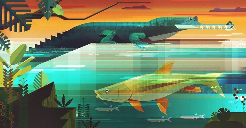 nature, animals, artwork, illustration, digital art