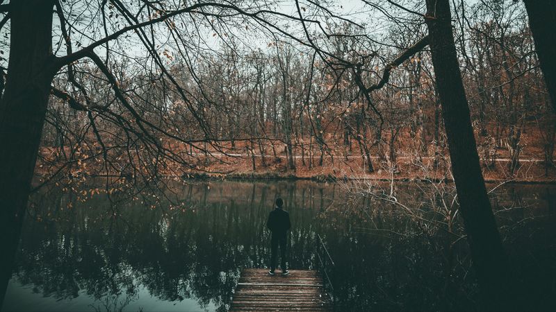 river, loneliness, solitude, autumn, trees, water, pond, 4k