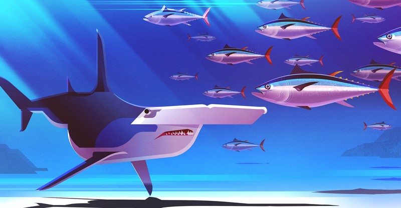 fish, animals, sea, nature, artwork, illustration, digital art