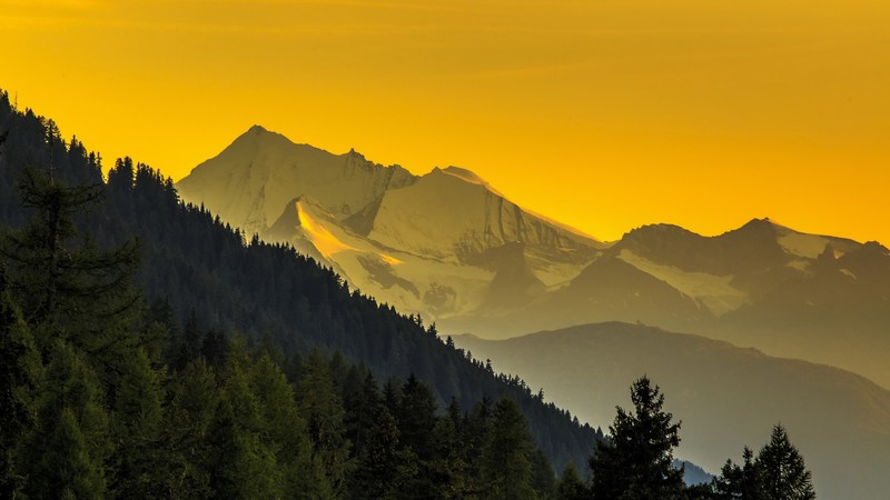 snow, nature, landscape, forest, hills, yellow, green