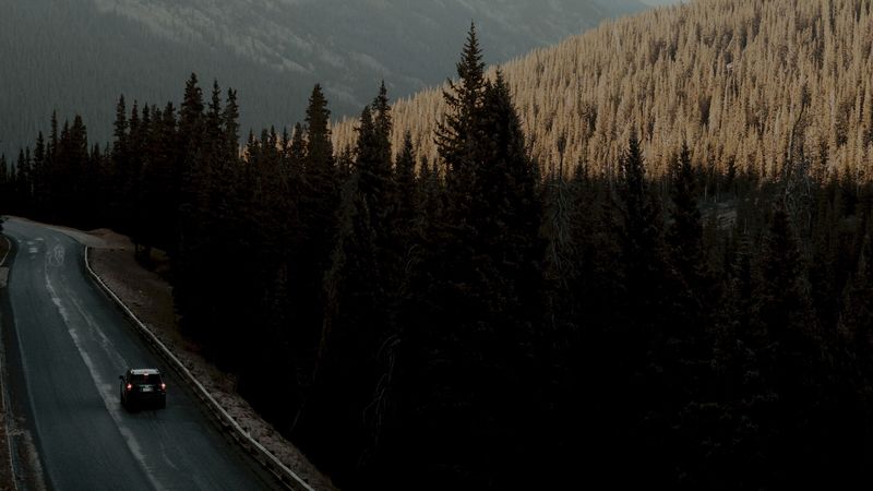 road, car, mountains, forest, movement, 4k