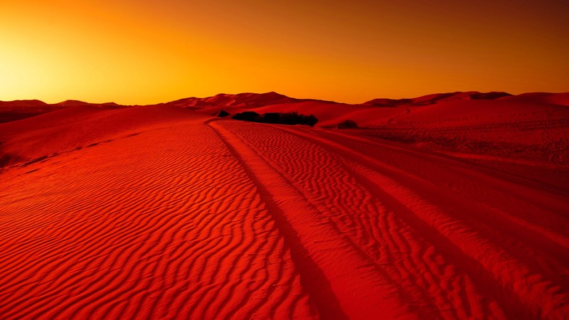 desert, nature, sand, road, landscape, red, orange