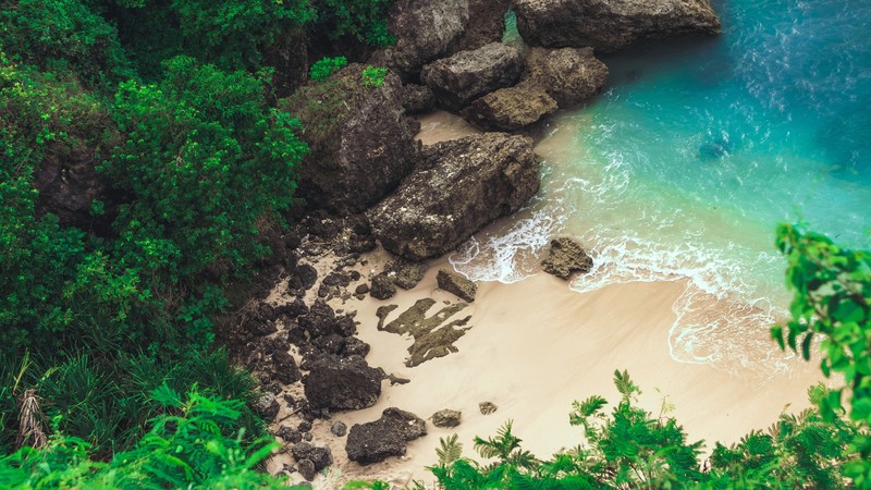 nature, plants, water, rocks, beach, landscape, top view, waves, sand