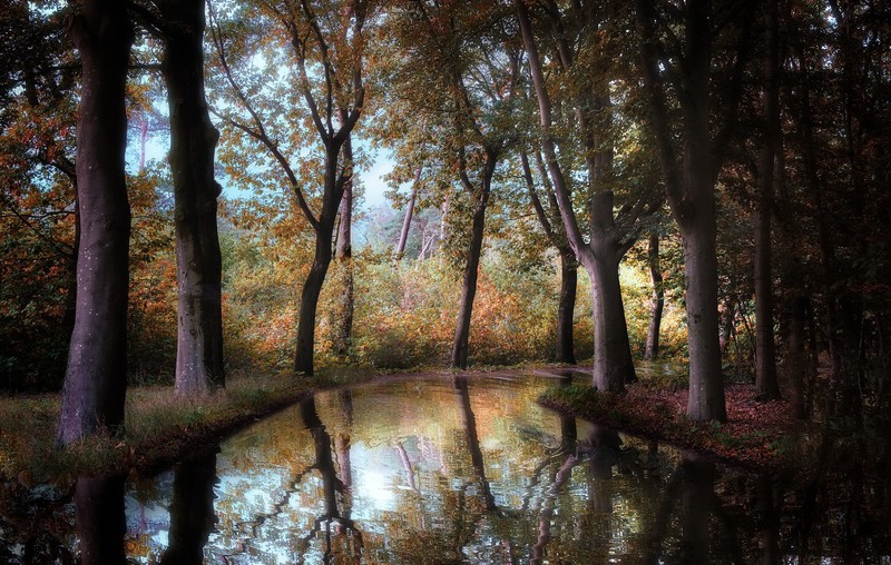 water, nature, fall, outdoors, trees, creeks