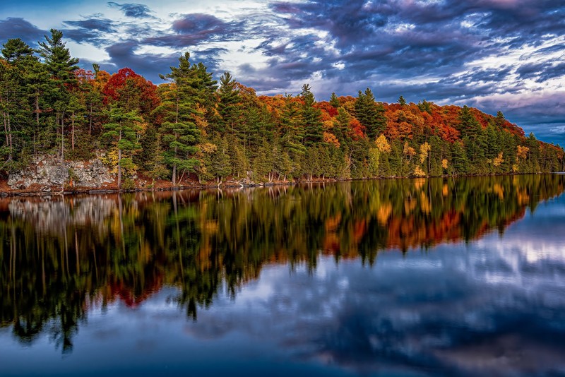 nature, reflection, trees, fall, landscape, water, Canada
