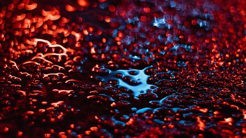 liquid, glare, bokeh, red, macro, blur, 4k