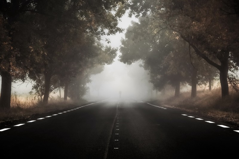 fall, asphalt, road, outdoors, mist