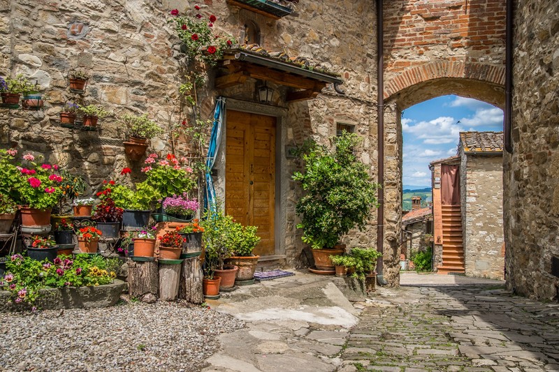 Tuscany, stone, house, plants, summer, flowers, wood, door, stones, Daria Klepikova, Italy
