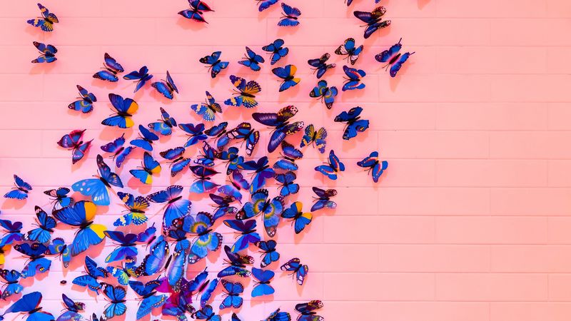 butterflies, wall, decoration, design, 4k