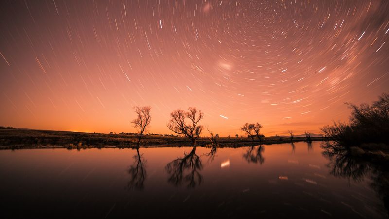 starry sky, stars, trees, shine, night, sky, 4k