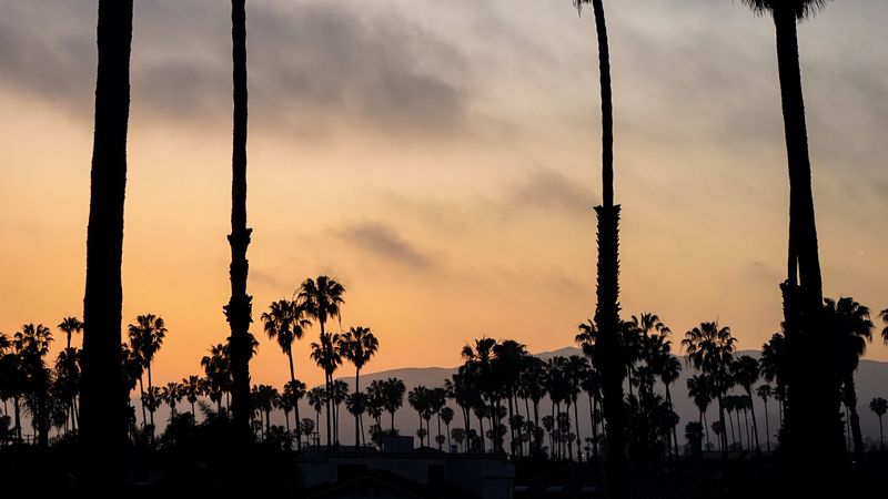 palm trees, night, sunset, tropics, sky, 4k