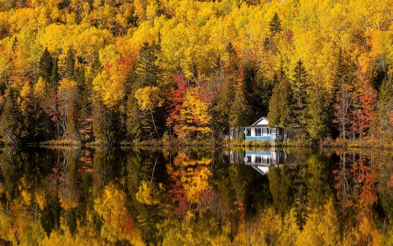 Canada, water, fall, nature, trees, reflection, house, outdoors