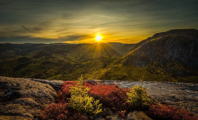 sunlight, outdoors, nature, plants, landscape, mountains, morning