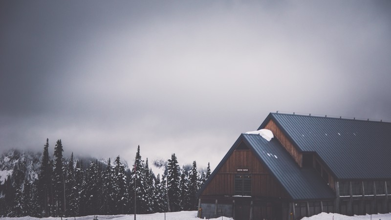 landscape, snow, forest, cabin, gloomy