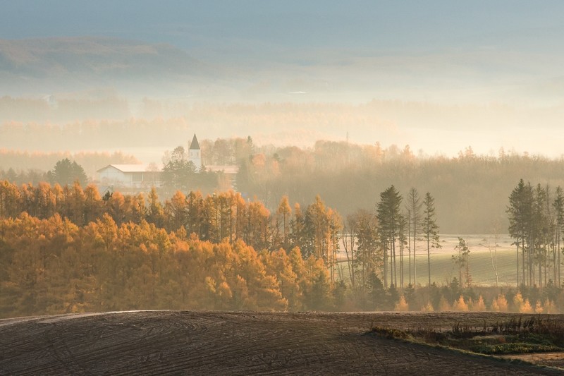 morning, field, landscape, outdoors, fall, mist