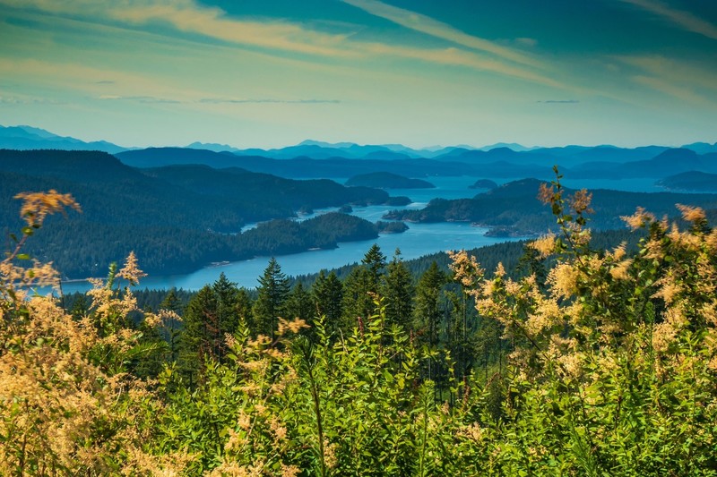 Canada, British Columbia, landscape, plants, nature